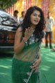 Tapsee Hot Transparent Green Saree Pics