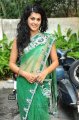 Tapsee Hot Transparent Saree Stills