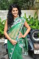 Tapasee Pannu Hot Saree Photos