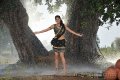 Tapsee Hot Wet Spicy Pics