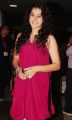 Actress Taapsee Pannu New Hot Pics in Dark Pink Dress
