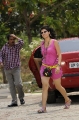 Telugu Actres Tapsee Latest Hot Pics @ Veera Movie