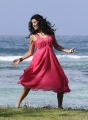 Telugu Actres Tapsee Latest Hot Pics @ Veera Movie