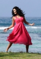 Telugu Actres Tapsee Latest Hot Pics @ Veera Movie