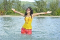 Telugu Actres Tapsee Latest Hot Pics @ Veera Movie