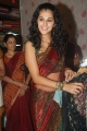 Tapsee Hot Saree Pictures Stills