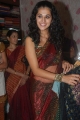 Tapsee Hot Saree Pictures Stills