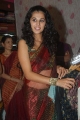 Tapsee Hot Saree Pictures Stills