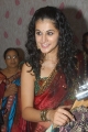 Tapsee Hot Saree Pictures Stills