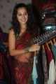 Tapsee Hot Saree Pictures Stills