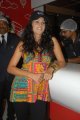 Tapsee Cute Stills at Venky's XPRS