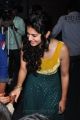 Taapsee Recent Photos at Sahasam Show for School Students