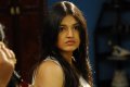 Tara Alisha Latest Pictures