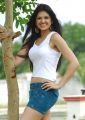 Telugu Actress Tara Alisha New Hot Pics