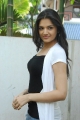 Telugu Actress Tara Alisha Stills