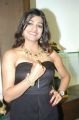 Tashu Kaushik launches Hiya Designer Jewellery Curtain Raiser