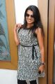 Beauteous Tashu Kaushik in Sleeveless Dress Photos