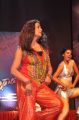 Tashu Kaushik Hot Dance at Srimannarayana Audio Release Function