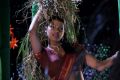 Actress Tashu Kaushik Pictures in Village Girl Attire