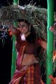 Actress Tashu Kaushik in Village Girl Dress Hot Pictures