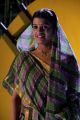 Actress Tashu Kaushik in Village Girl Attire Pictures