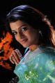 Actress Tashu Kaushik Hot Photos in Light Blue Net Saree