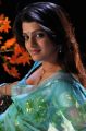 Telugu Actress Tashu Kaushik in Light Blue Saree Hot Photos