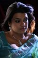 Actress Tashu Kaushik New Photos in Light Blue Saree