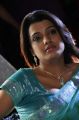 Actress Tashu Kaushik New Photos in Light Blue Saree