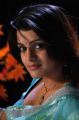 Actress Tashu Kaushik in Light Blue Saree Hot Photos