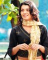 Actress Tashu Kaushik in Pazhaya Vannarapettai Movie