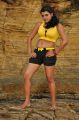 Actress Tashu Kaushik Hot Yellow Dress Pics