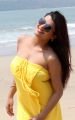 Tashu Kaushik Spicy Hot Photoshoot Stills in Yellow Dress