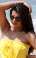 Telugu Actress Tashu Kaushik Spicy Hot Photoshoot Stills