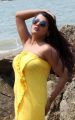 Telugu Actress Tashu Kaushik Spicy Hot Photoshoot Stills