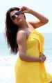 Tashu Kaushik Spicy Hot Photoshoot Stills in Yellow Dress