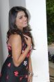 Acterss Tashu Kaushik New Photo Shoot Stills