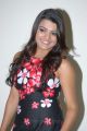 Tashu Kaushik at at Telugabbai Audio Release Function