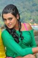 Telugu Actress Tashu Kaushik Hot Pics