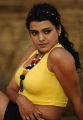 Telugu Actress Tashu Kaushik Hot Pics