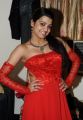 Actress Tashu Koushik Hot Stills