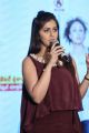 Actress Nikki Galrani @ Team 5 Movie Press Meet Photos