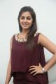 Actress Nikki Galrani @ Team 5 Movie Press Meet Photos