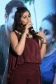 Actress Nikki Galrani @ Team 5 Movie Press Meet Photos