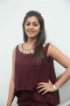 Actress Nikki Galrani @ Team 5 Movie Press Meet Photos