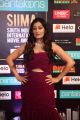 Actress Tejaswini Prakash Photos @ SIIMA Awards 2019 Day 2