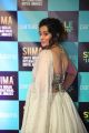 Actress Tejaswini Prakash Photos @ SIIMA Awards 2019