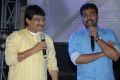 Telugabbai Movie Audio Release Photos