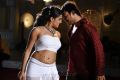 Tanish, Tashu Kaushik in Telugu Abbai Hot Stills