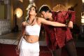 Tanish, Tashu Kaushik in Telugu Abbai Hot Stills